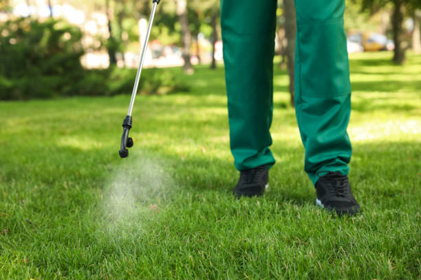 Best Flea Control Services  in Lealman, FL