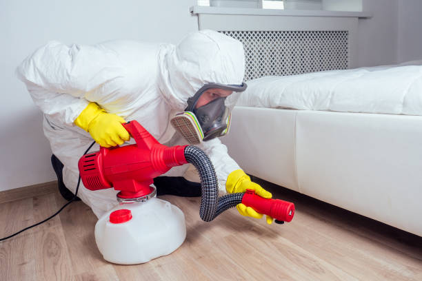 Best Best Pest Control Companies  in Lealman, FL