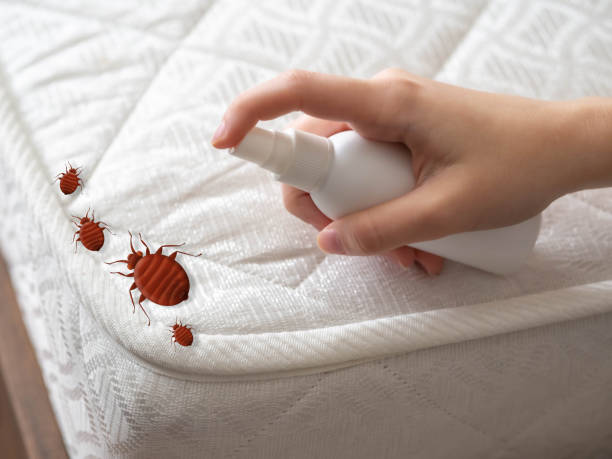 Best Residential Pest Control  in Lealman, FL